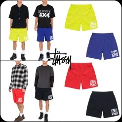 STUSSY | [STUSSY]★SS-LINK WATER SHORT
