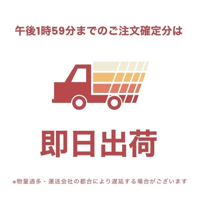 STUSSY | Unisex Street Style Plain Cotton Logo Skater Style T-Shirts 2 STUSSY | Unisex Street Style Plain Cotton Logo Skater Style T-Shirts - Image 2