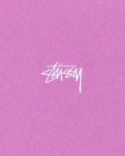 STUSSY | Unisex Street Style Logo Skater Style Hoodies -Stussy Apparel org 3683