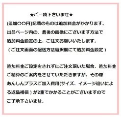 STUSSY | Unisex Street Style Logo Skater Style Sweatshirts -Stussy Apparel org 3697