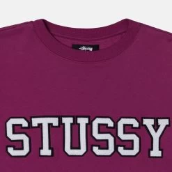 STUSSY | Crew Neck Pullovers Street Style Long Sleeves Cotton Logo -Stussy Apparel org 3711
