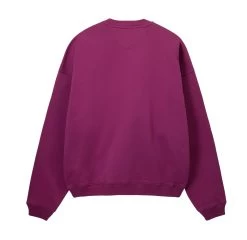 STUSSY | Crew Neck Pullovers Street Style Long Sleeves Cotton Logo -Stussy Apparel org 3712