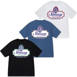 STUSSY | Logo Skater Style T-Shirts