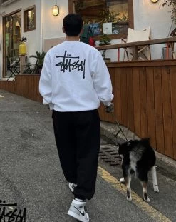 STUSSY | Street Style Long Sleeves Cotton Logo Skater Style -Stussy Apparel org 3926