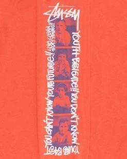 STUSSY | Street Style Long Sleeves Plain Cotton Long Sleeve T-shirt -Stussy Apparel org 3938