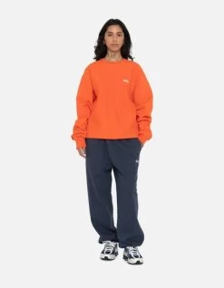 STUSSY | Unisex Street Style U-Neck Long Sleeves Plain Logo -Stussy Apparel org 633