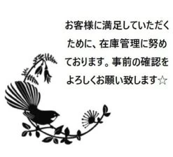 STUSSY | Unisex Street Style Plain Logo Skater Style Shorts -Stussy Apparel org 726