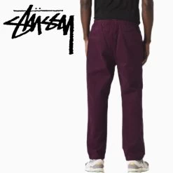 STUSSY | Unisex Logo Cargo Pants -Stussy Apparel org 794